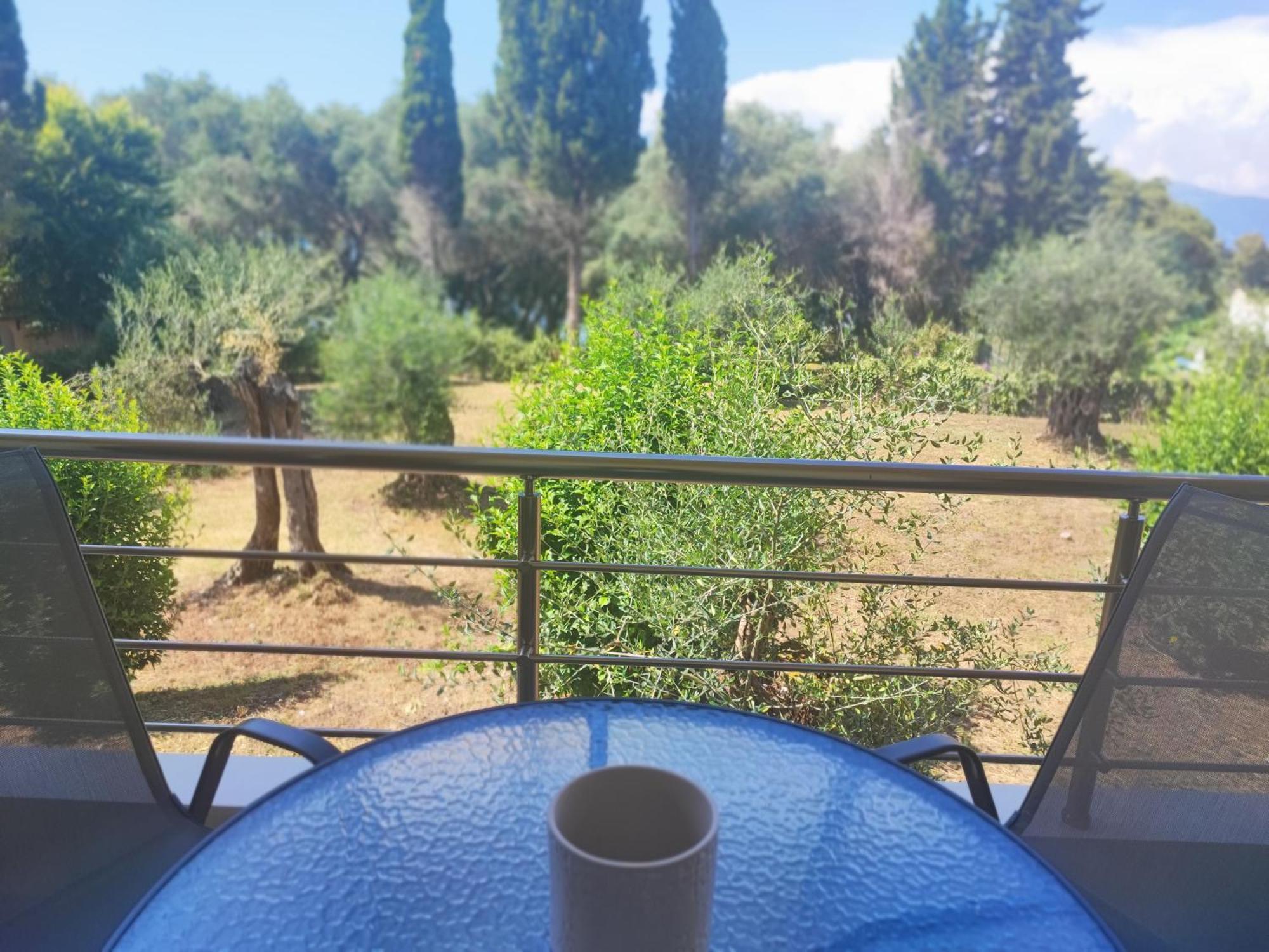 Coritos Holiday Apartments Kontokali Dış mekan fotoğraf